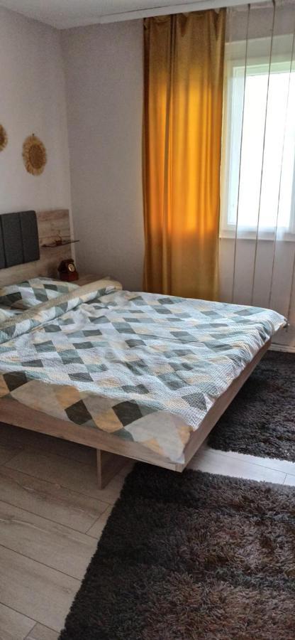 KremnaKuca Despotアパートメント 部屋 写真