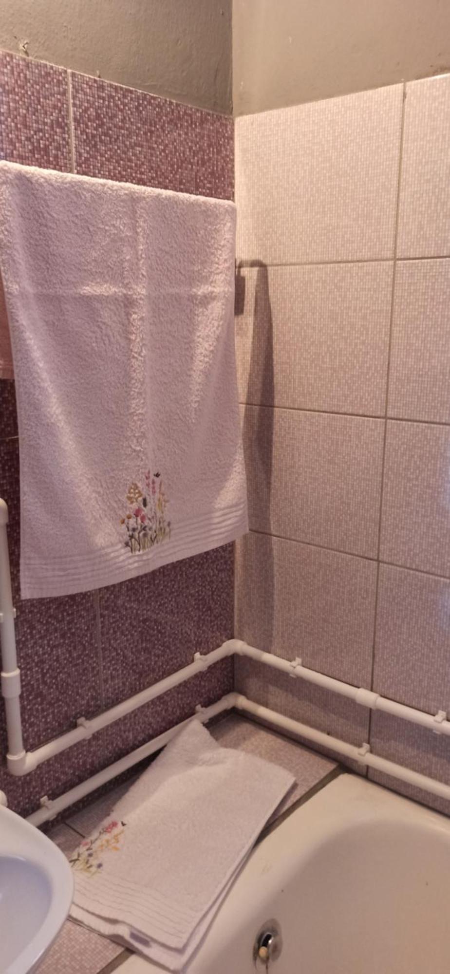 KremnaKuca Despotアパートメント 部屋 写真