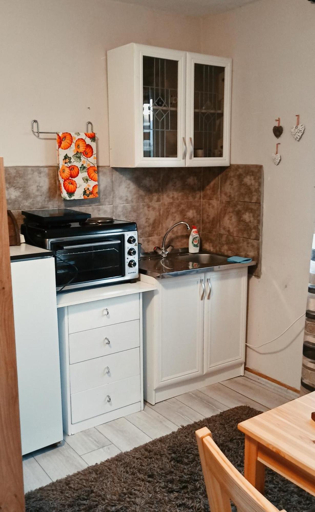 KremnaKuca Despotアパートメント 部屋 写真